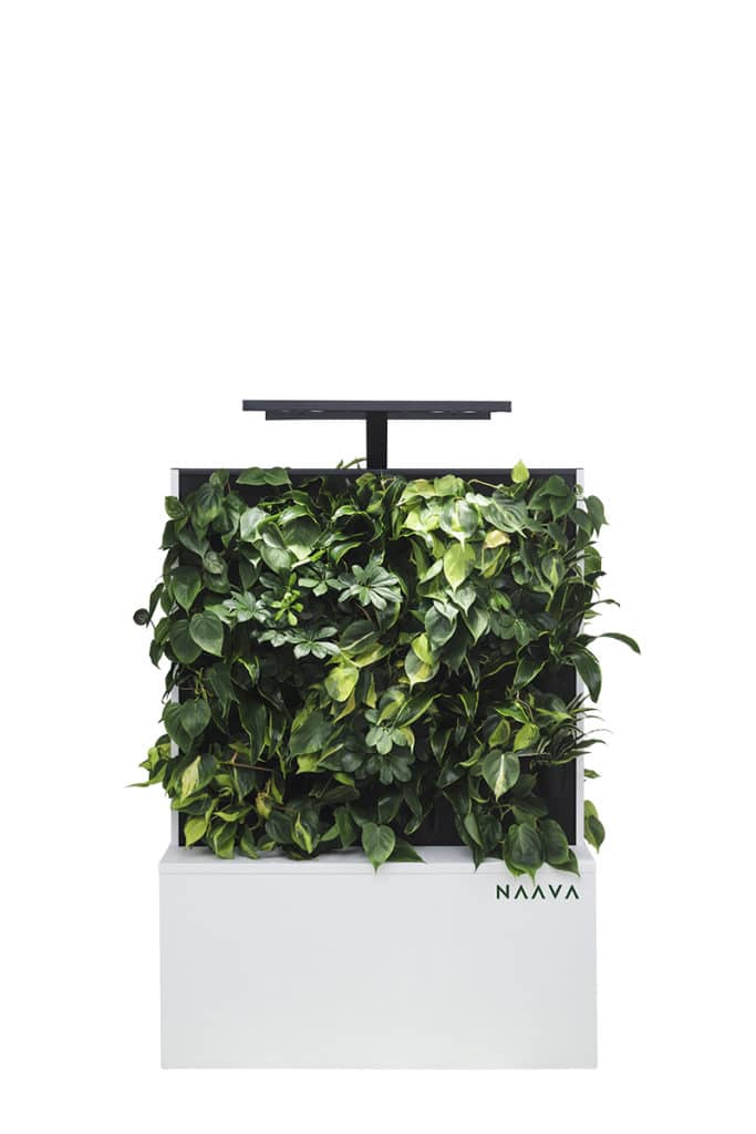 home and office naava indoor air cleaner