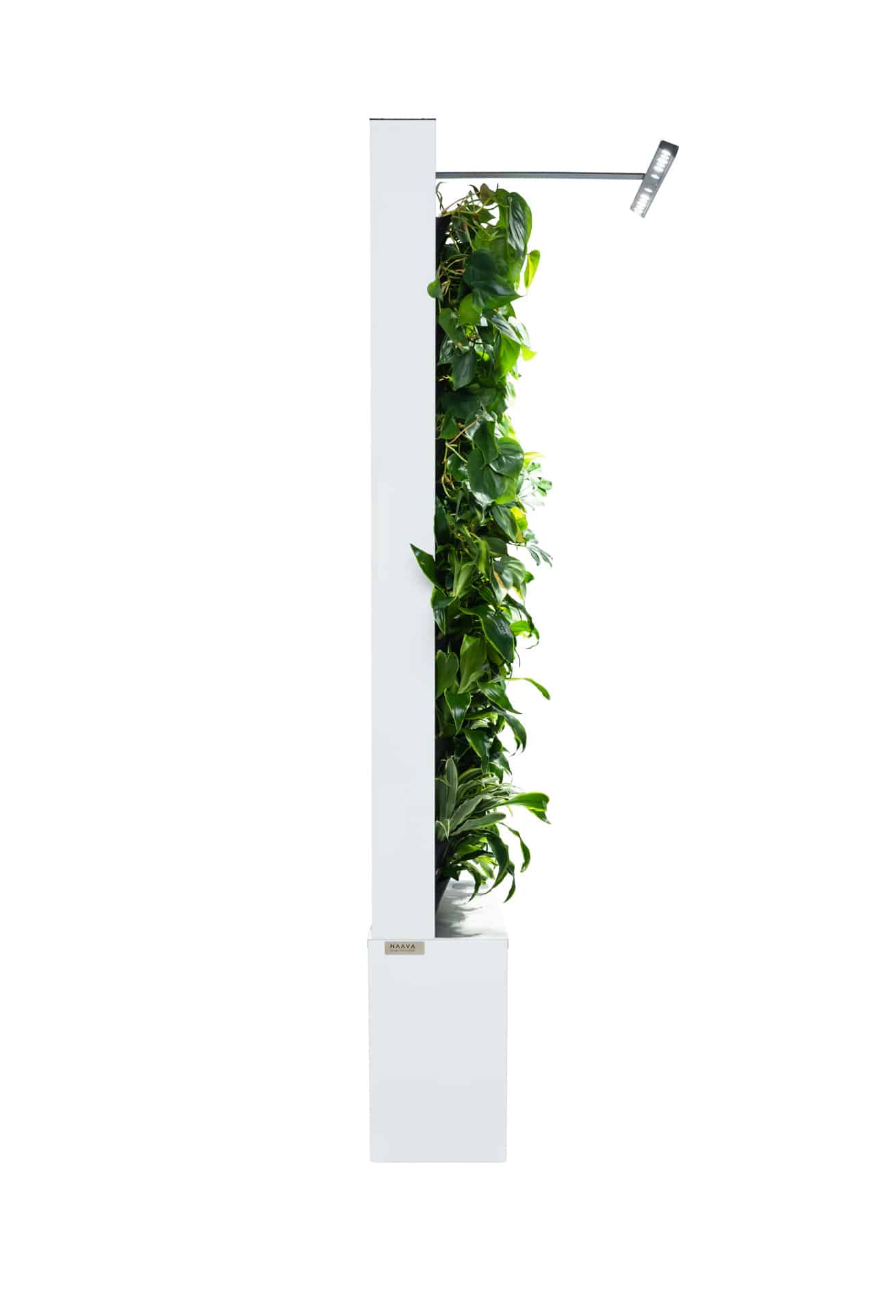 Naava One white indoor green wall to improve air quality