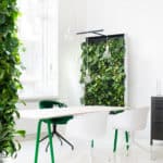 Naava One air filtration green wall in office