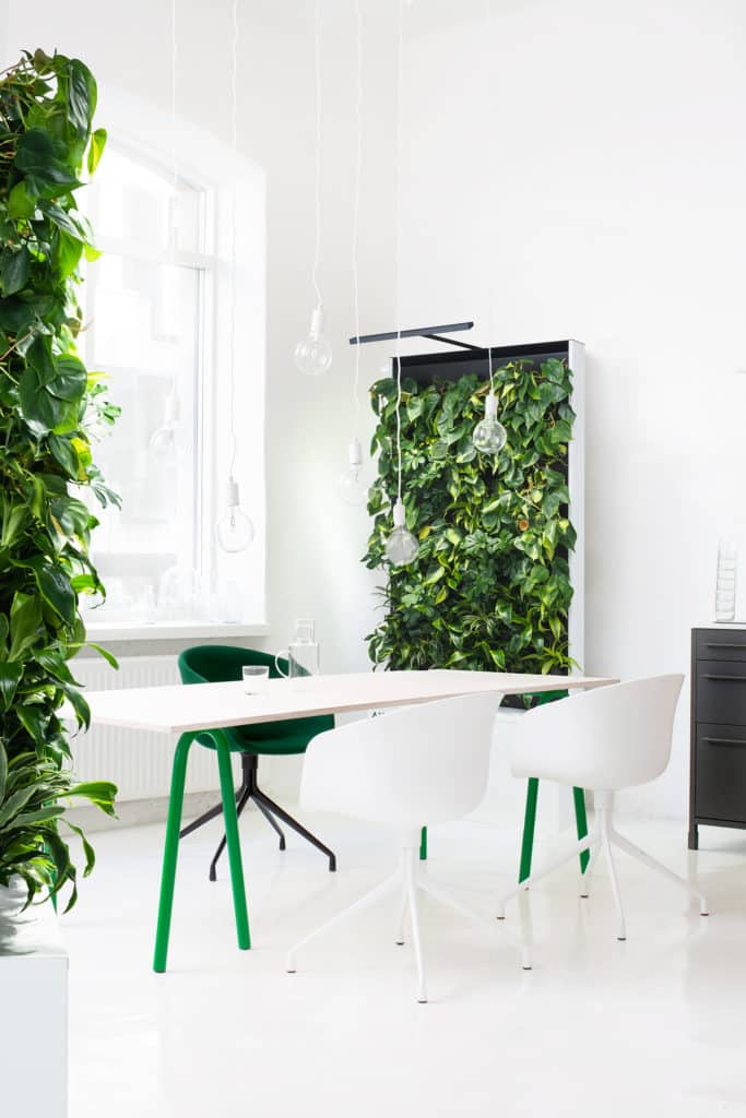 Naava One air filtration green wall in office