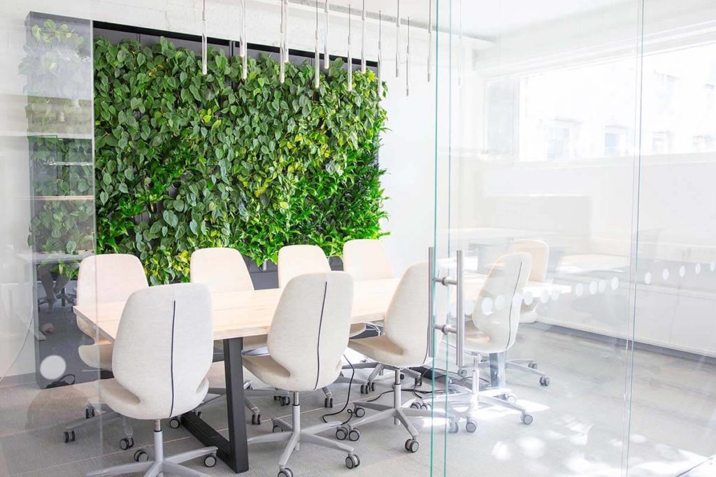 Naava one slime green wall in meeting room