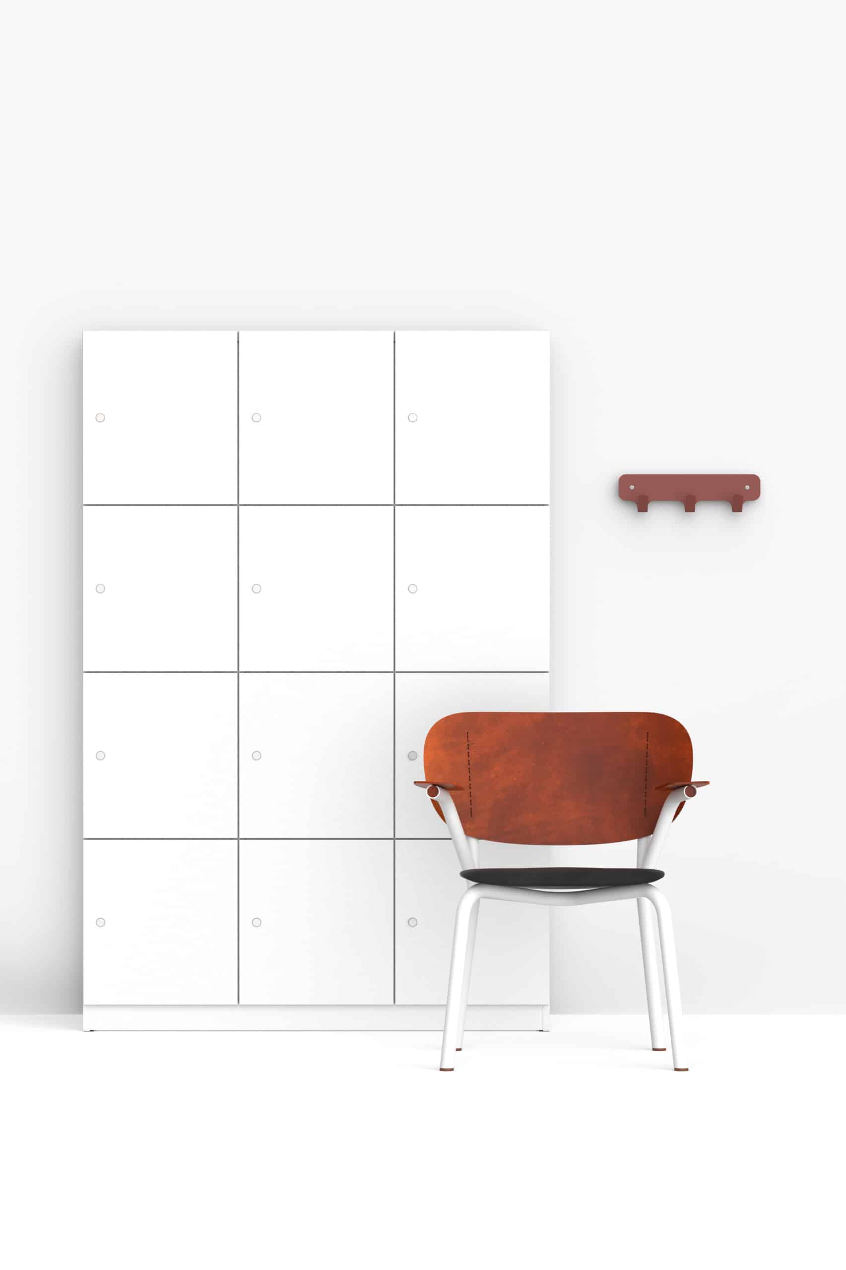 functionals Aquarius lockers and Hooks 3 (1)