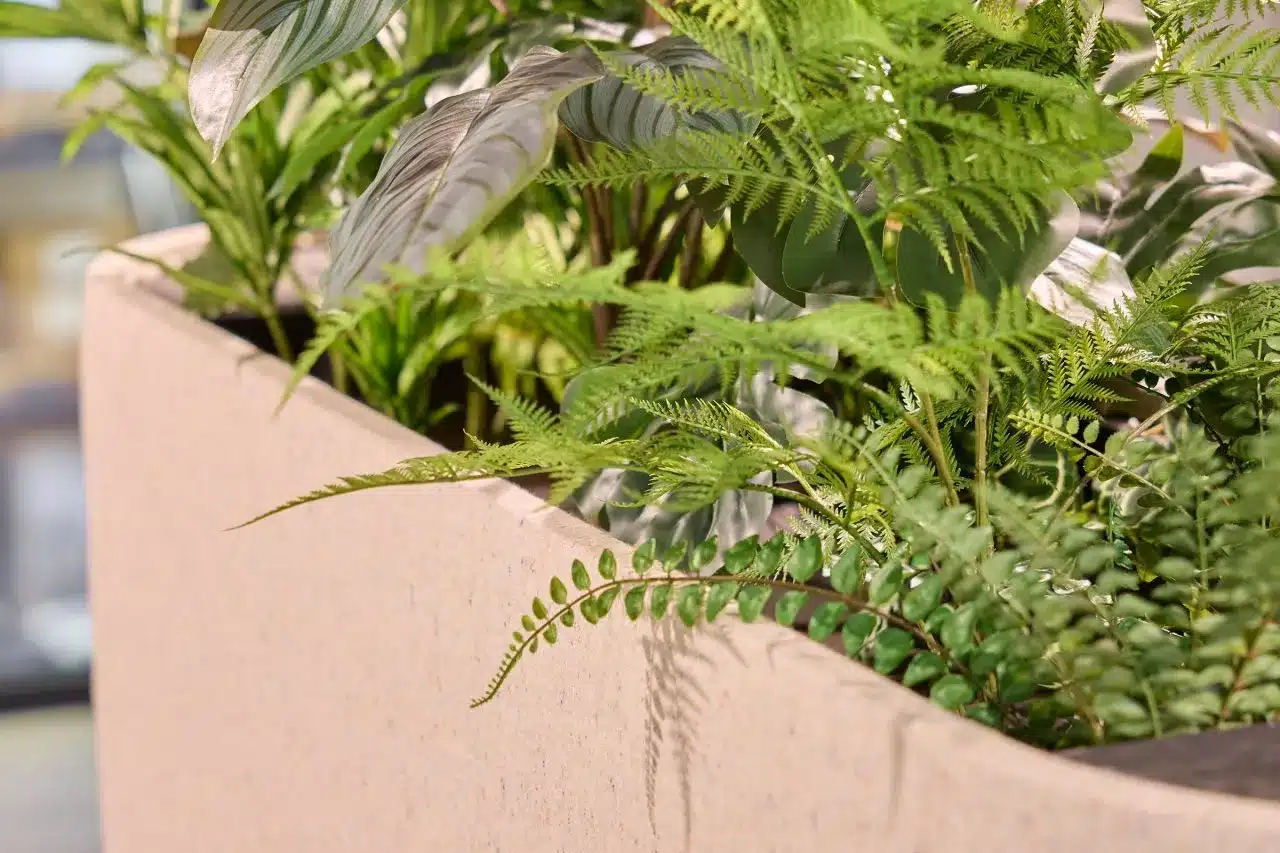 rofa moduplus planter3